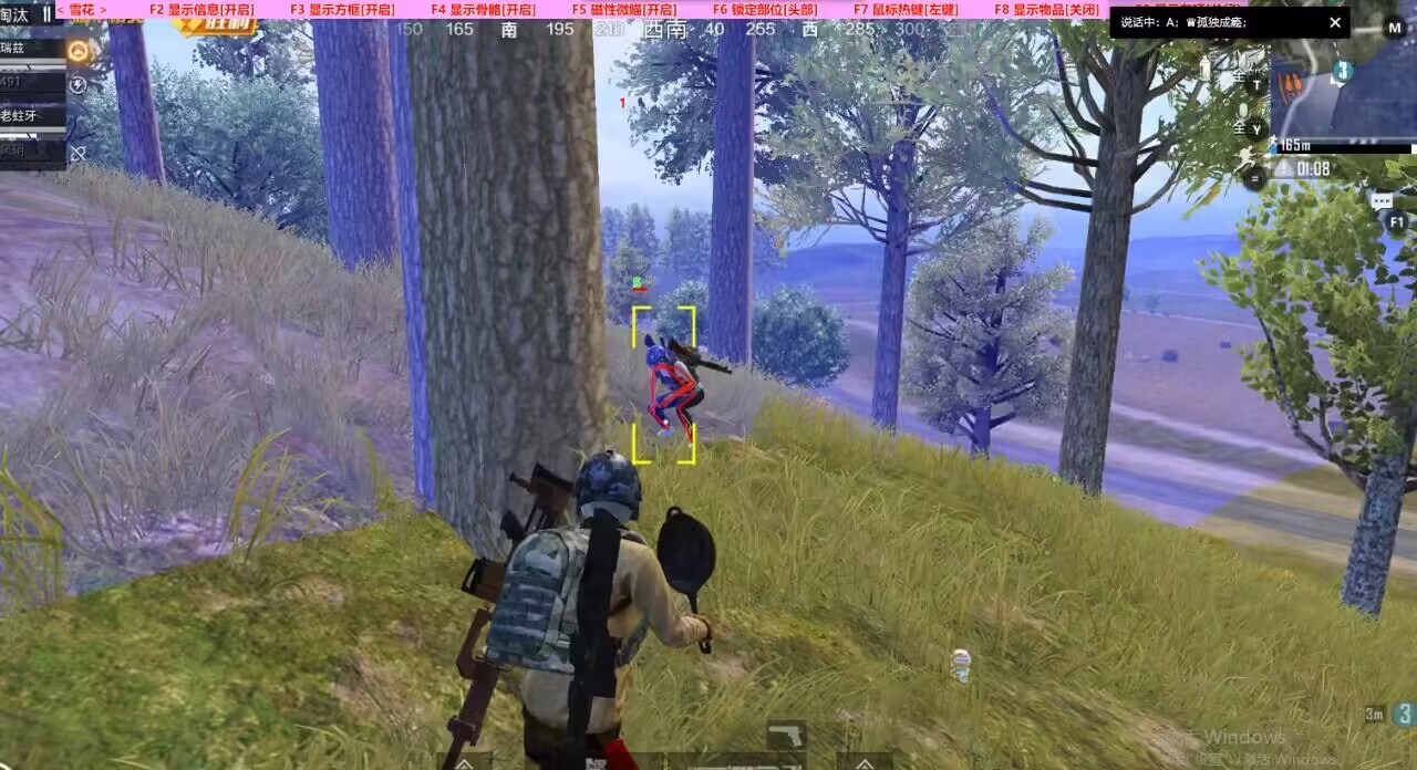 和平精英辅助【雪花直装V6.0】透视自瞄 人物加速 车辆加速 显示名字